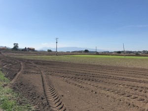 terreno lavorato