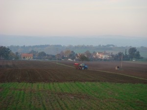 Campo arato 1