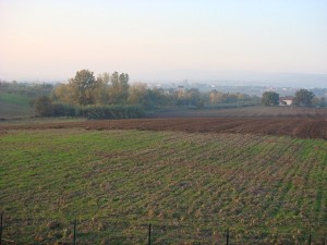 Campo arato 2