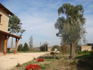 area antistante il patio