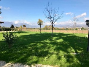 il prato al fianco destro della casa