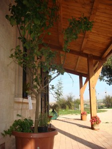 porticato del tufo stregato