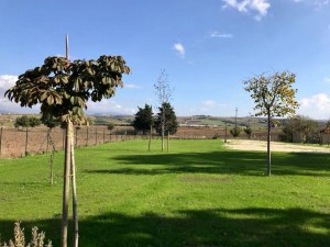 prato a sinistra della casa