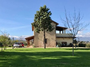 il prato del tuufo stregato